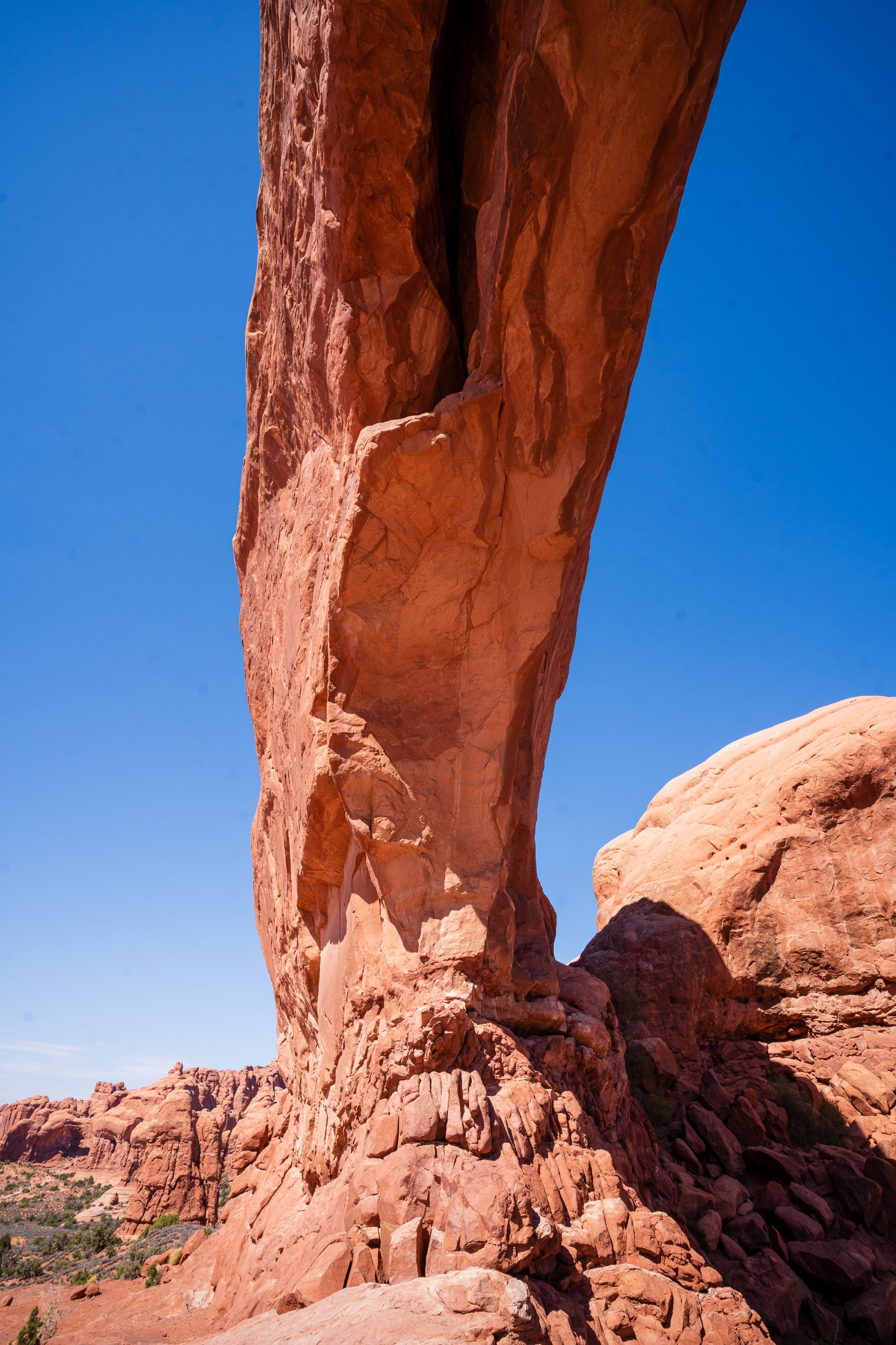 USA 2024 5 Sterne 123